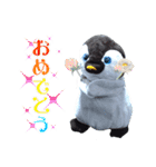 遂に出た！実写べんけいスタンプ（個別スタンプ：28）