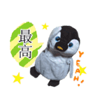 遂に出た！実写べんけいスタンプ（個別スタンプ：29）