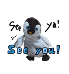 遂に出た！実写べんけいスタンプ（個別スタンプ：32）