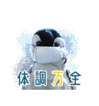 遂に出た！実写べんけいスタンプ（個別スタンプ：38）