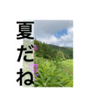 富士見高原を堪能するスタンプin2021（個別スタンプ：3）