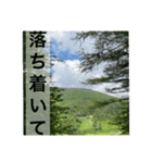 富士見高原を堪能するスタンプin2021（個別スタンプ：10）