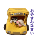 うちのミルモがかわいい3（個別スタンプ：5）