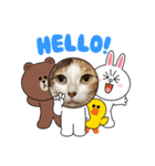 コラボ（ニア＆チョビ）（個別スタンプ：6）