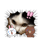コラボ（ニア＆チョビ）（個別スタンプ：10）