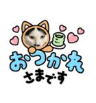 コラボ（ニア＆チョビ）（個別スタンプ：11）