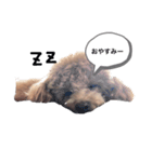 愉快なといぷー♪（個別スタンプ：5）