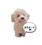 愉快なといぷー♪（個別スタンプ：6）