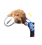 愉快なといぷー♪（個別スタンプ：8）