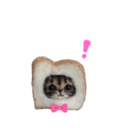 いぬちゃんとねこちゃん③（個別スタンプ：1）