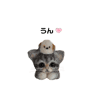 いぬちゃんとねこちゃん③（個別スタンプ：2）