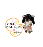 いぬちゃんとねこちゃん③（個別スタンプ：4）