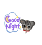 いぬちゃんとねこちゃん③（個別スタンプ：7）