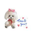 いぬちゃんとねこちゃん③（個別スタンプ：8）