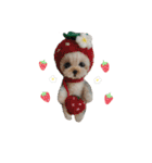 いぬちゃんとねこちゃん③（個別スタンプ：13）