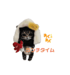 いぬちゃんとねこちゃん③（個別スタンプ：14）