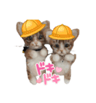 いぬちゃんとねこちゃん③（個別スタンプ：16）