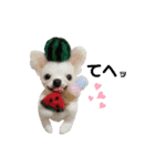 いぬちゃんとねこちゃん③（個別スタンプ：23）