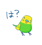 日常系ゆるーいセキセイインコ（個別スタンプ：2）