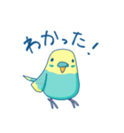 日常系ゆるーいセキセイインコ（個別スタンプ：3）