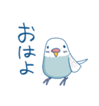 日常系ゆるーいセキセイインコ（個別スタンプ：5）