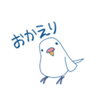 日常系ゆるーいセキセイインコ（個別スタンプ：7）