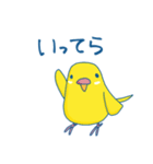 日常系ゆるーいセキセイインコ（個別スタンプ：8）