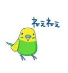 日常系ゆるーいセキセイインコ（個別スタンプ：11）