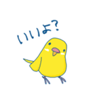 日常系ゆるーいセキセイインコ（個別スタンプ：14）