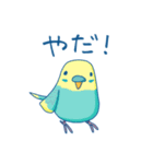 日常系ゆるーいセキセイインコ（個別スタンプ：15）