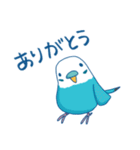 日常系ゆるーいセキセイインコ（個別スタンプ：17）