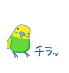 日常系ゆるーいセキセイインコ（個別スタンプ：19）