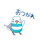 日常系ゆるーいセキセイインコ（個別スタンプ：21）