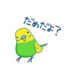 日常系ゆるーいセキセイインコ（個別スタンプ：22）