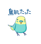 日常系ゆるーいセキセイインコ（個別スタンプ：24）