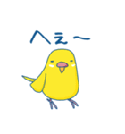 日常系ゆるーいセキセイインコ（個別スタンプ：26）