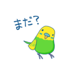 日常系ゆるーいセキセイインコ（個別スタンプ：31）