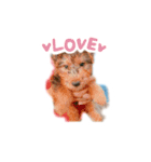 子犬ナッツくんスタンプ（個別スタンプ：6）