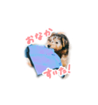 子犬ナッツくんスタンプ（個別スタンプ：8）