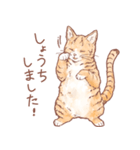 丁寧なごあいさつトラ猫（個別スタンプ：3）