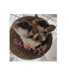 モモンガの日常@@（個別スタンプ：1）