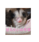 モモンガの日常@@（個別スタンプ：2）