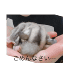 モモンガの日常@@（個別スタンプ：5）