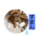 Ivyとお友達のスタンプ2（個別スタンプ：2）