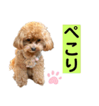 Ivyとお友達のスタンプ2（個別スタンプ：3）