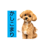 Ivyとお友達のスタンプ2（個別スタンプ：4）