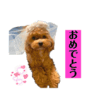 Ivyとお友達のスタンプ2（個別スタンプ：5）