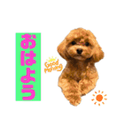 Ivyとお友達のスタンプ2（個別スタンプ：7）