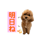Ivyとお友達のスタンプ2（個別スタンプ：8）