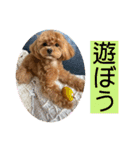 Ivyとお友達のスタンプ2（個別スタンプ：9）